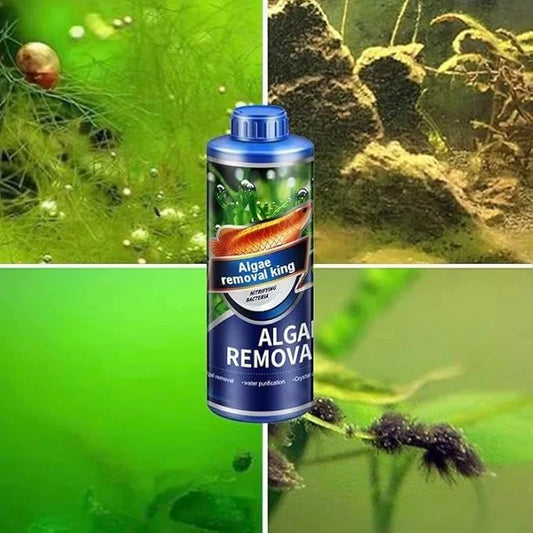 Algae Remover Fish Tank Removes Green Algae (Pack Of 1)